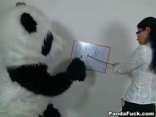 Секси учител за възбуден panda мечоци