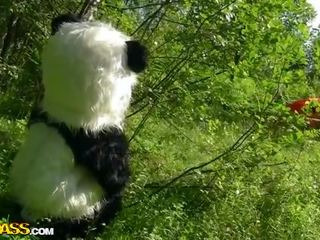 Малко червен езда качулка чукане с panda в на дърво видео